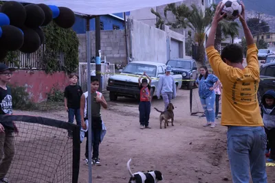 DSC_1444 (Large).JPG